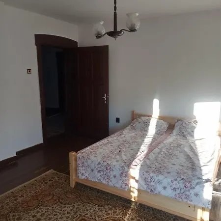 Mercury Guest house *