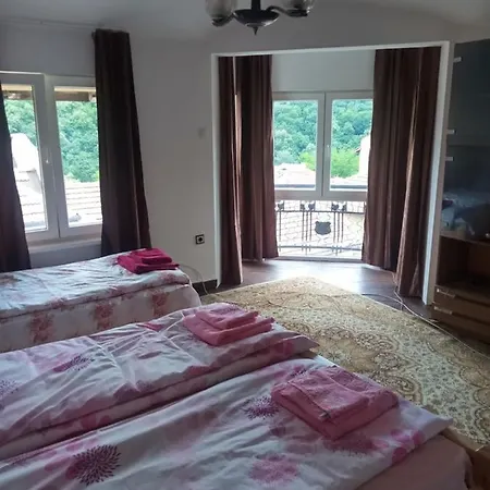 Mercury Guest house *
