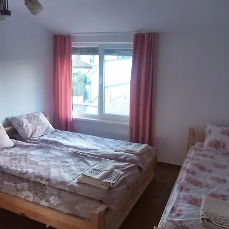 Mercury Guest house *
