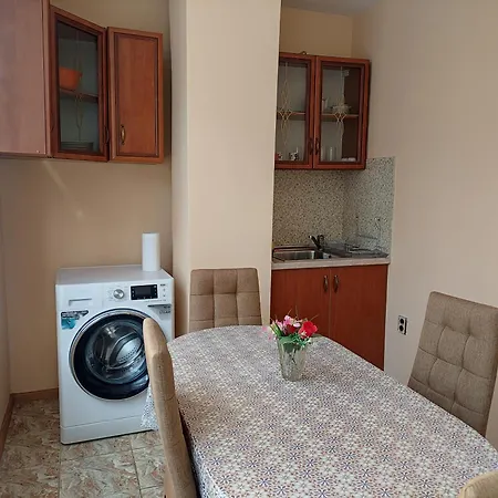 Mercury Guest house *