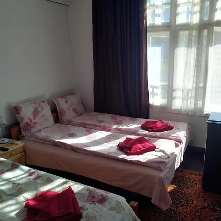 Mercury Guest house *