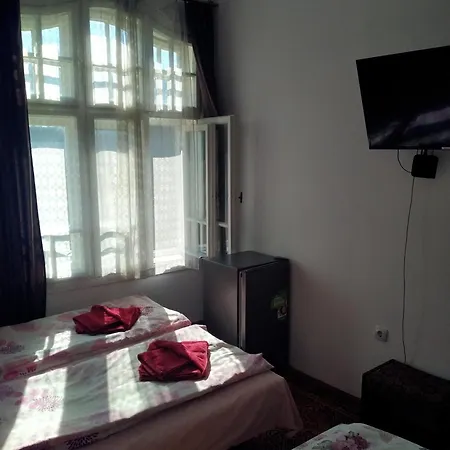 Mercury Guest house *