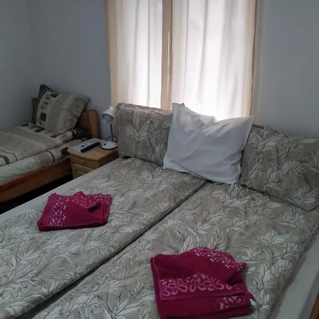 Mercury Guest house *