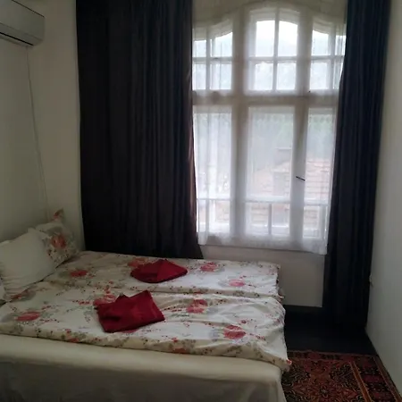 Mercury Guest house *
