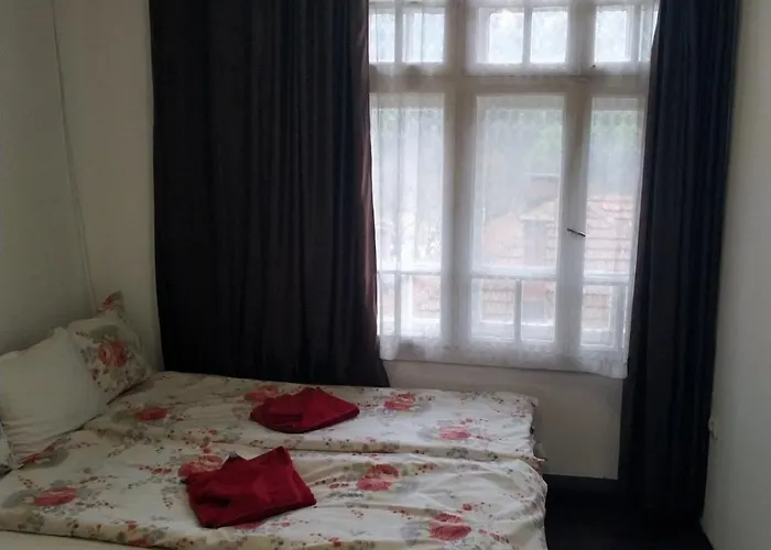 Mercury בית הארחה 3*